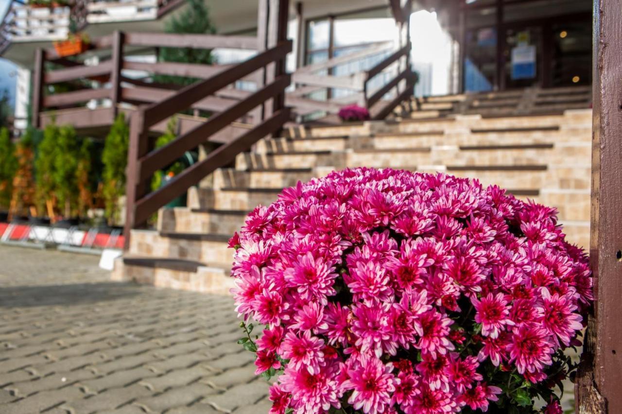 Zărneşti Hotel La Dolce Vita מראה חיצוני תמונה